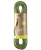 ナイトシトラス