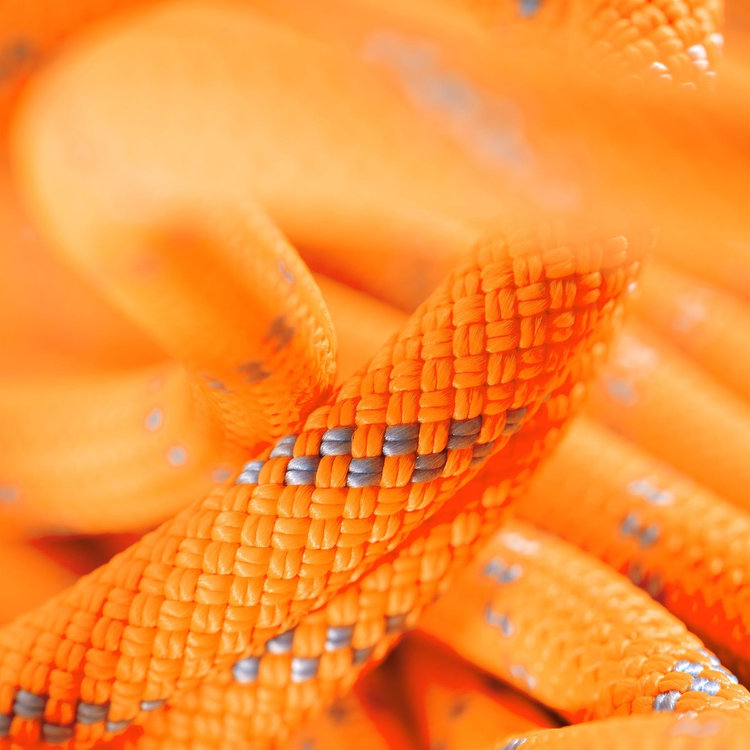 vibrant orange-zen