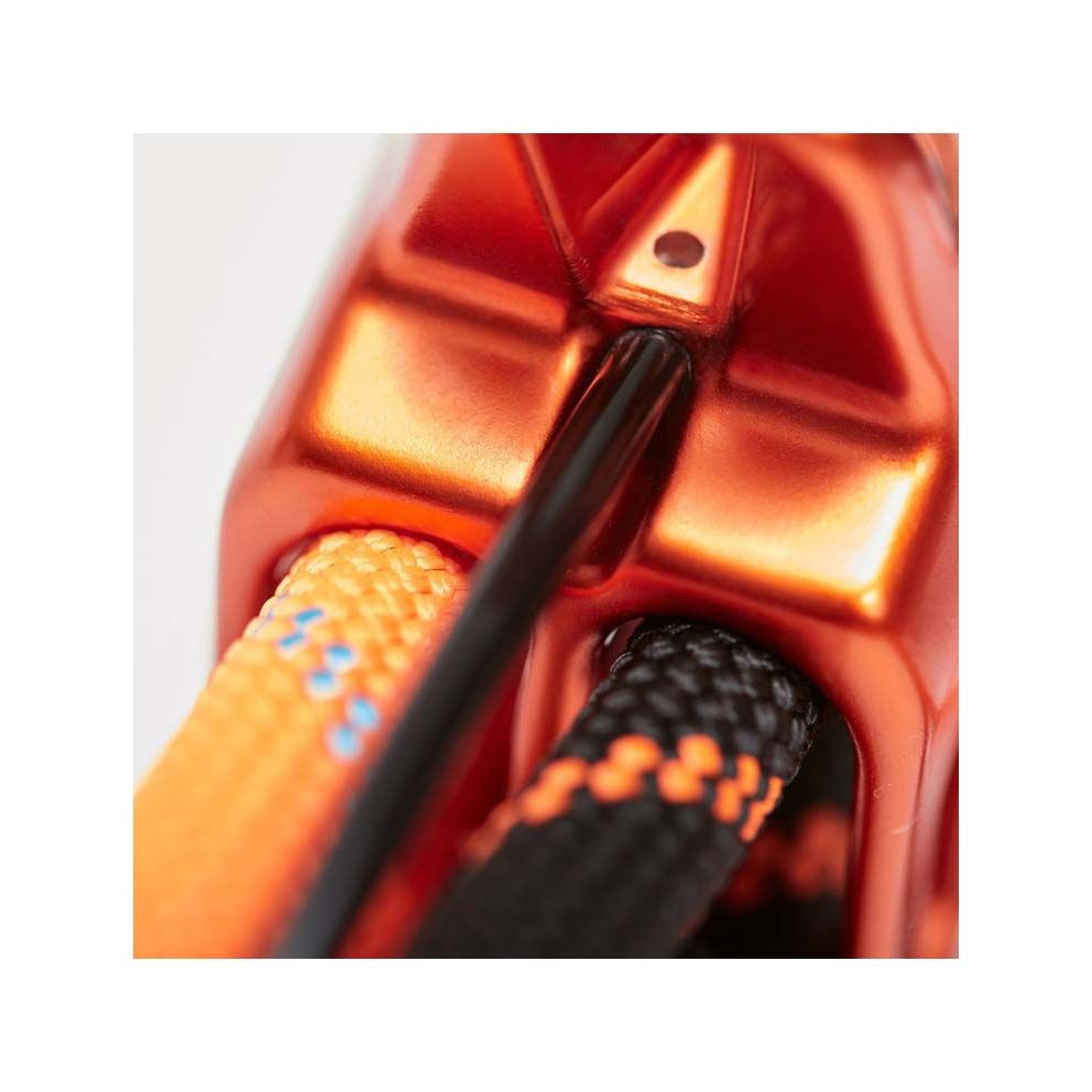 オレンジ