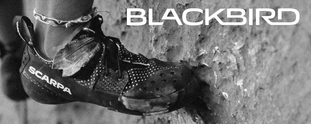 BLACKBIRD
